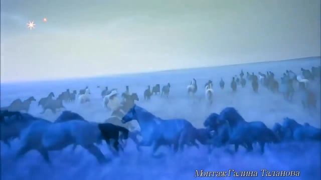 И НЕСУТ МЕНЯ ПО КРАЮ, КОНИ БЕЛЫЕ НЕСУТ Исп.Н.Кадышева смотреть онлайн