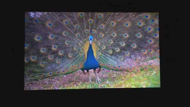 Промокод и подарки на кинопроектор H6 от Touyinger.Чёрная пятница Алиэкспресс 11.11.2022. смотреть онлайн