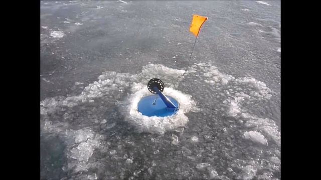 Ловим щуку в Самаре - 2015 смотреть онлайн