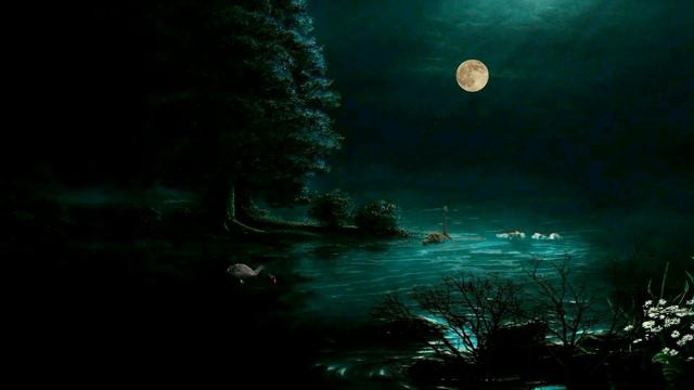 Swan Lake (swan Footage)