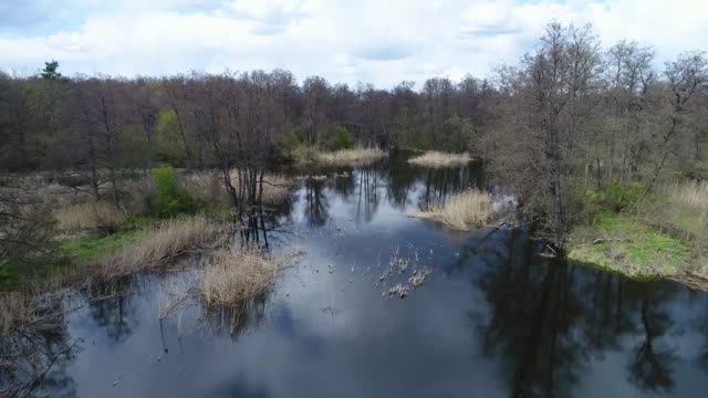 Воронеж. Аэросъемка реки Усманка смотреть онлайн