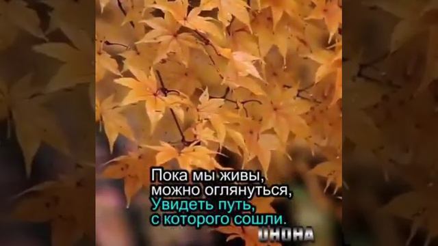 Мои Любимие(43) смотреть онлайн