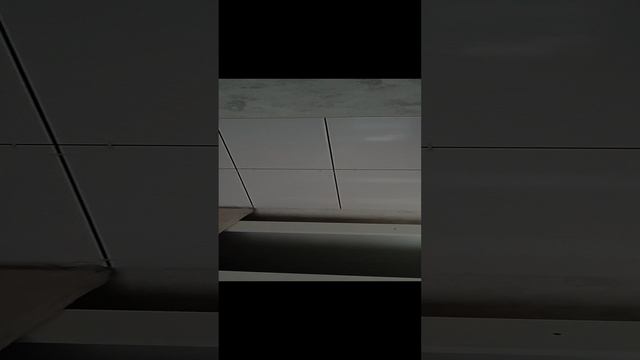 VID_20220415_161800.mp4