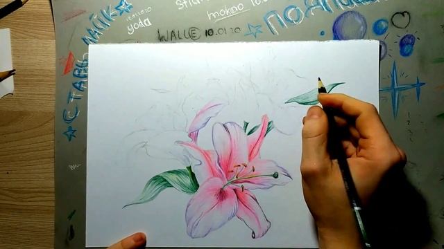 Как нарисовать цветок-лилия смотреть онлайн