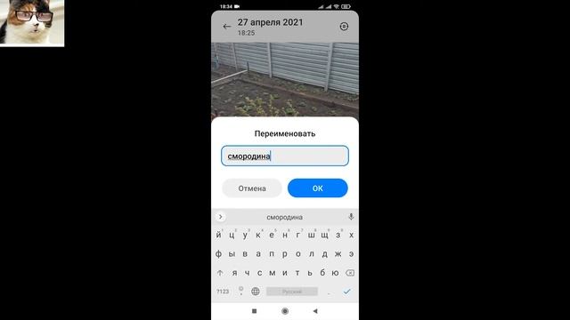 Как переименовать фото на телефоне андроид в галерее смотреть онлайн