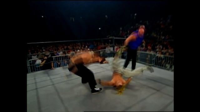 WCW Mamalukes Custom TurnerVision