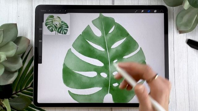 How To Draw: Watercolor Monstera Albo Leaf (Updated!) • Procreate Tutorial • Easy iPad Art смотреть онлайн