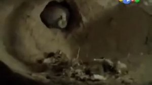 Карусель   анонсы 30 11 2011