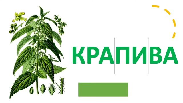 Конкурс молодых педагогов. Номинация "Учитель - мастер". Фрагмент урока по теме: "Слог" 1 класс смотреть онлайн