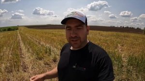 Ноутил можно вычеркивать! Посев подсолнечника. Разная технология обработки почвы в сезоне 2023