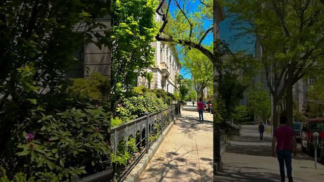 New Haven, Connecticut. Yale University. Прогулка по  Нью Хэвен, Коннектикут, США. Город мечты.