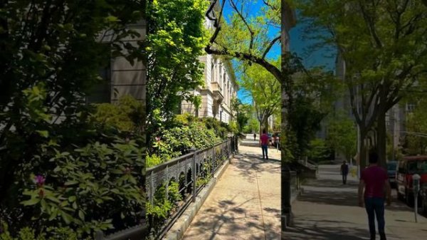 New Haven, Connecticut. Yale University. Прогулка по Нью Хэвен, Коннектикут, США. Город мечты.