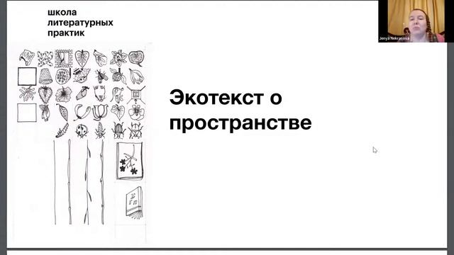 Школа литературных практик: Евгения Некрасова. Стратегии и языки экопрозы смотреть онлайн