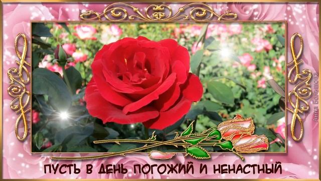 Прекрасной женщине прекрасные цветы. Желаю вам цвести как эти розы. Музыкальная открытка смотреть онлайн