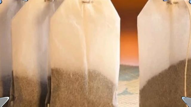 Секреты ухода за ампельными комнатными растениями смотреть онлайн