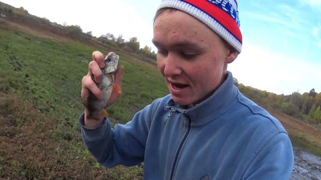 Рыбалка на ЩУКУ и ОКУНЯ / Осенняя рыбалка на спиннинг / Ловля на вертушку! смотреть онлайн