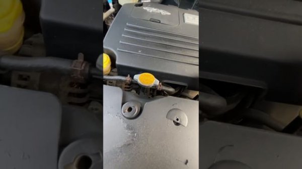 Честный обзор на Vortex Tingo 2012