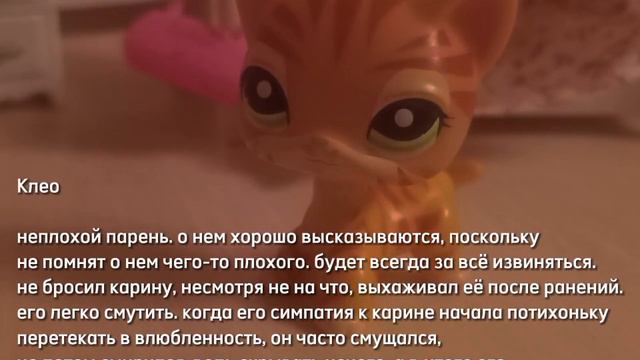 ✰| чуть больше о наших lps, или инфо-минутка |✰ смотреть онлайн