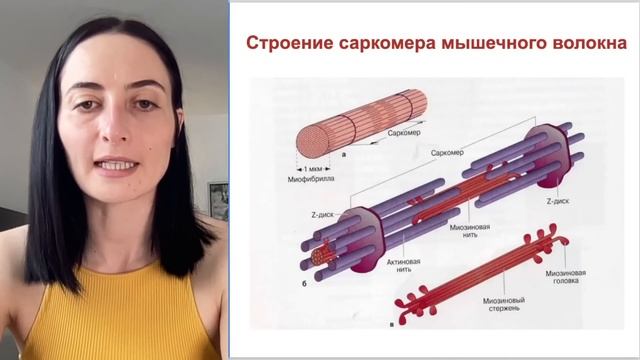 Разрушаем МИФЫ о РАСТЯЖКЕ | Про развитие гибкости, шпагаты и занятия по растяжке, которые калечат смотреть онлайн