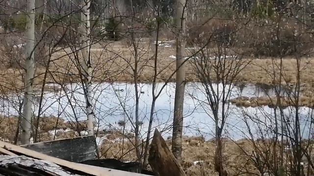 Весна в разгаре смотреть онлайн