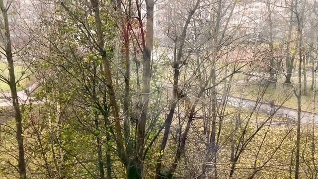 Всем доброго и прекрасного настроения у нас летит мокрый снег с дождем 13.11.+1 смотреть онлайн