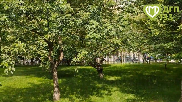 ДГП №133 Гз смотреть онлайн