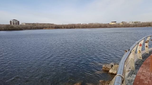 Муж заставил жену содержать свекровь и себя. Она терпела, но однажды всех поставила на место смотреть онлайн