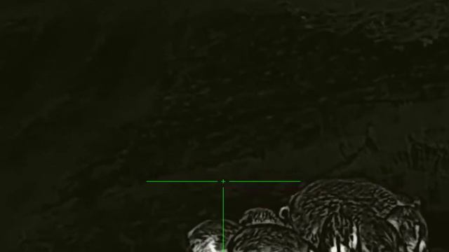 Rico Rl 42 Lov Selete