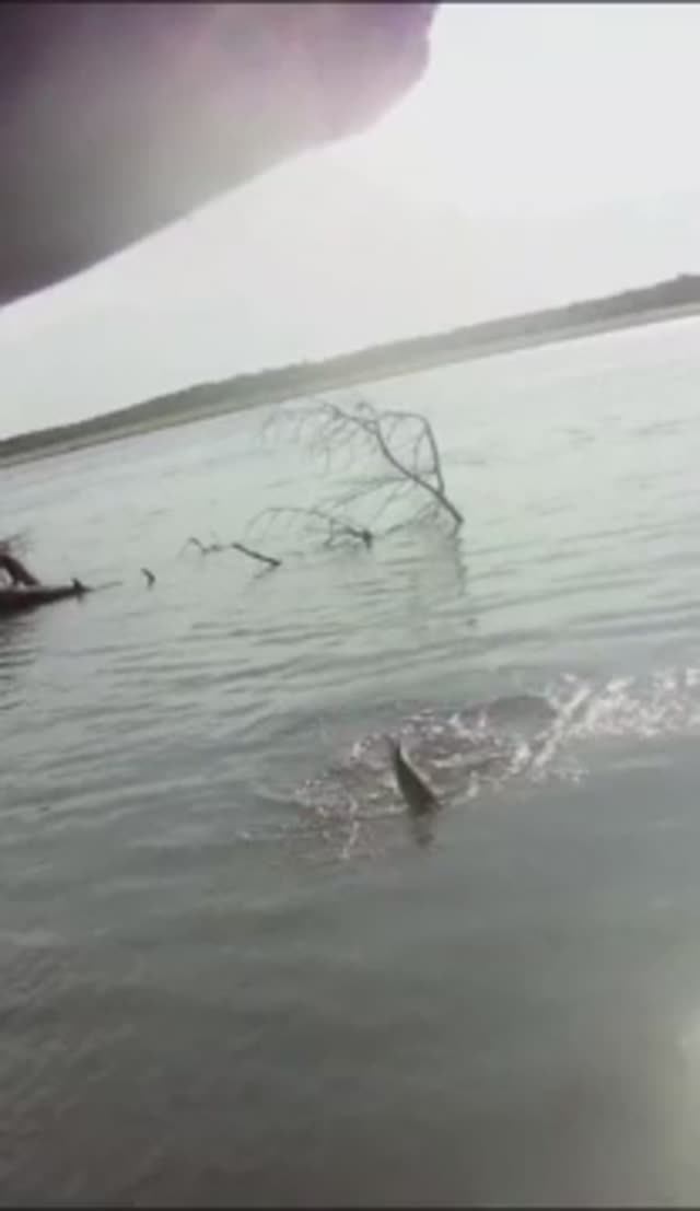 рыбалка на судака смотреть онлайн