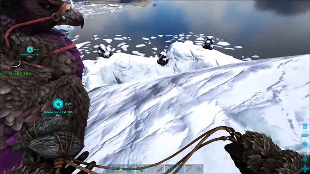 PELAGORNIS, A AVE DO MAR - ARK:SURVIVAL EVOLVED - THE ISLAND VANILLA - #22 смотреть онлайн