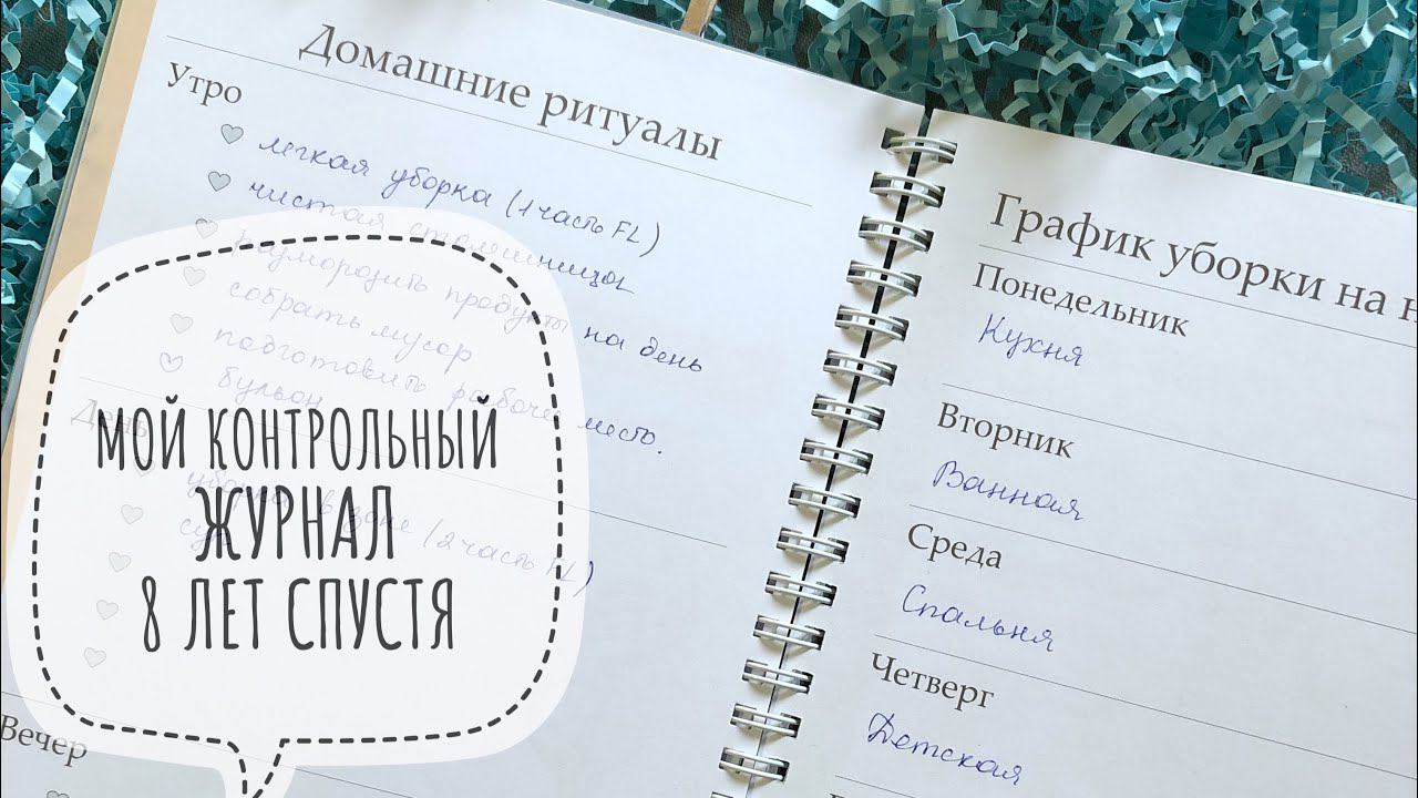 МОЙ КОНТРОЛЬНЫЙ ЖУРНАЛ. 8 ЛЕТ В СИСТЕМЕ ФЛАЙЛЕДИ ✔ Ирина Соковых смотреть онлайн