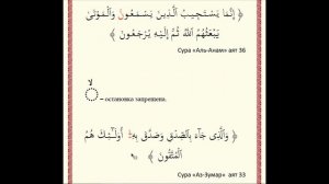 ЧТЕНИЕ КОРАНА ЗА 14 ДНЕЙ. Урок 12 (Остановка при чтении «Вакф», знаки остановки)