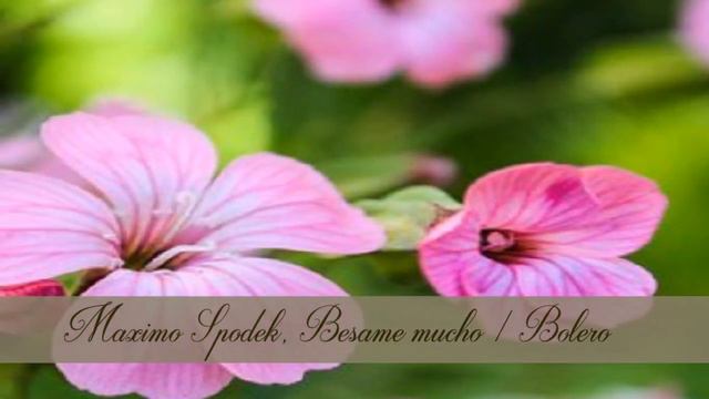 MAXIMO SPODEK, BESAME MUCHO, BOLERO JAZZ INSTRUMENTAL, PIANO Y ARREGLO MUSICAL, CONSUELO VELAZQUEZ смотреть онлайн