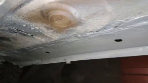 Калина, днище