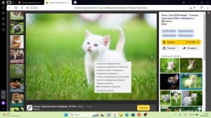Как скачать картинку на ваш ПК или Ноутбук?