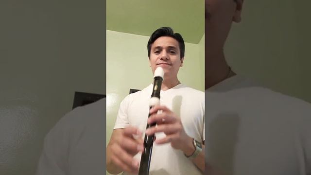 Ode To Joy on Alto and Soprano Recorder смотреть онлайн