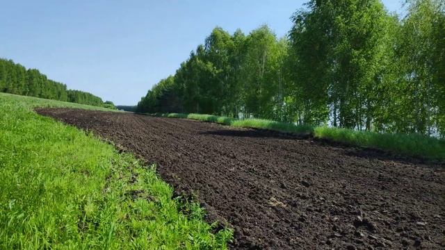 Самый Чёрный Чернозем! Спасский Район Татарстана! Не хуже чем в Украине! смотреть онлайн