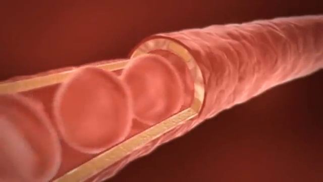 Алоэ Вера - целебная сила растения смотреть онлайн