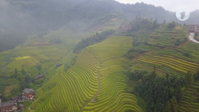 Что? Откуда? Почему? О новых видах спорта, крупах и певице Дайдо – 25/11/22 смотреть онлайн