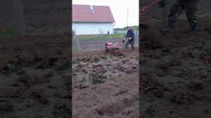 Культивация мотоблокам ASILAK SL 186L снимал подпищик