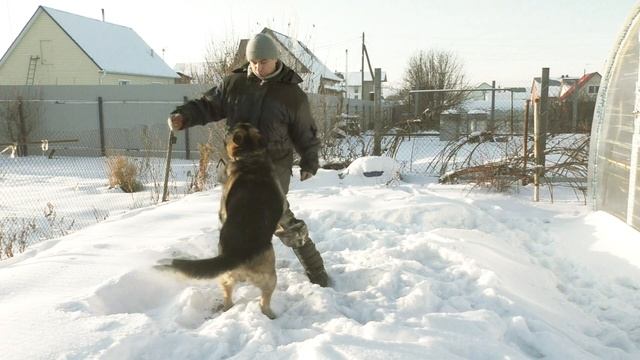 Танец "джентльмена удачи" смотреть онлайн