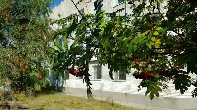 пансионат "Котлин" лето 2019 смотреть онлайн