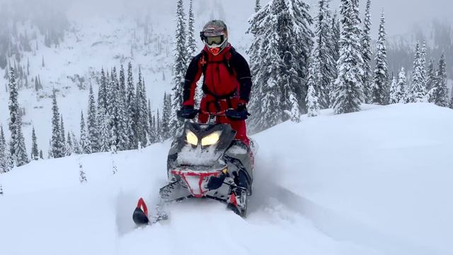 2025 Freeride Turbo 146