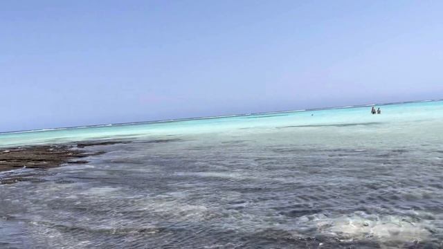 Пляж и море в недорогом отеле Дип Блу Ин/DEEP BLUE INN 4*. Туры в Египет. Курорт Марса Алам. смотреть онлайн