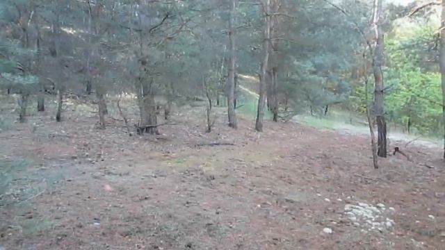 ГДЕ НАЙТИ ЦВЕТНОЙ МЕТАЛЛ. АЛЮМИНИЙ СВИНЕЦ ЛАТУНЬ И МЕДЬ ВОКРУГ НАС смотреть онлайн