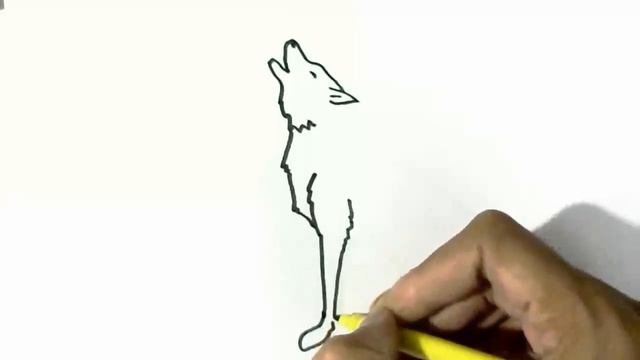 How to draw Wolf Howling- in easy steps for beginners смотреть онлайн