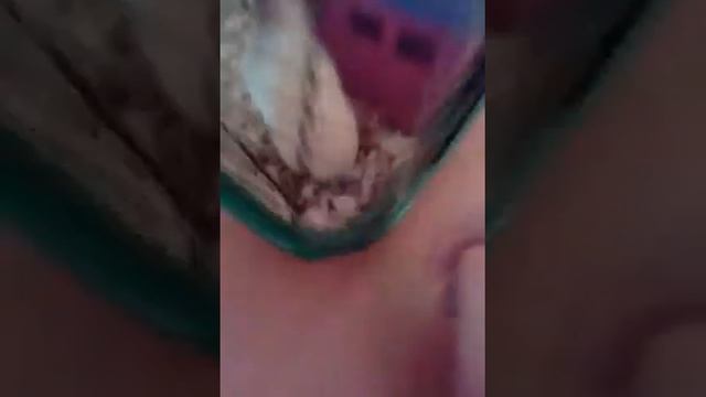 мой хомяк сирийская смотреть онлайн