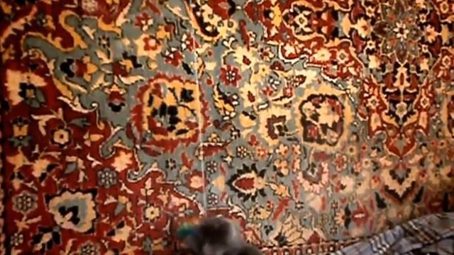 Видео. Разыгрался котенок и ползает на стене по ковру. Прикольное видео. смотреть онлайн