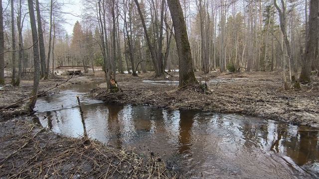 Река Страдинка. ч.4. Апрель 2024 смотреть онлайн