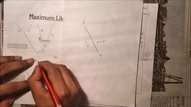 Maximum Likelihood Estimation in Bangla | in Bioinformatics | MLE in Bioinformatics смотреть онлайн
